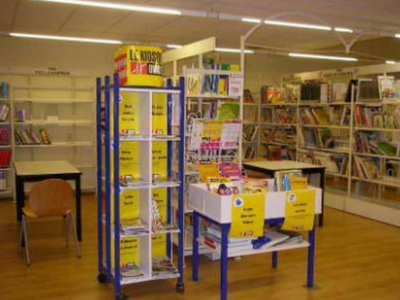 une photo de l'espace CDI "avant" composée d'étagères de livres et documents